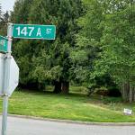 A view of Surrey&rsquo;s abandoned pet cemetery in 2021, at 78 Avenue and 147A Street. (Photo: Tom Zillich)