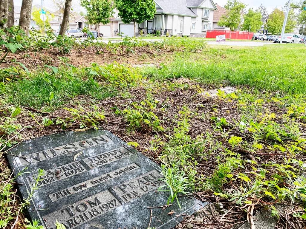 A view of Surrey&rsquo;s abandoned pet cemetery in 2021, at 78 Avenue and 147A Street. (Photo: Tom Zillich)